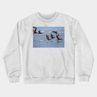 Brown Pelicans Take Flight 2 Crewneck Sweatshirt